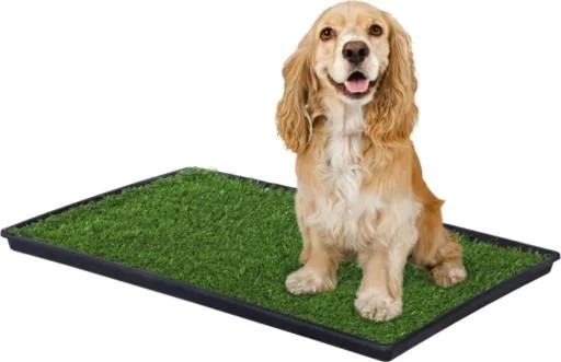 - Natural latex pet mattressPrevue Tinkle Turf Medium