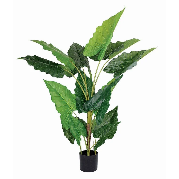 - Cat anti-jump window safety netArtificial Calathea Roseopicta Plant, 150cm