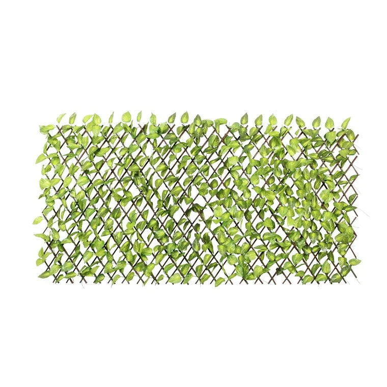 - Degradable pet feces bagWilow Trellis w/ Leaves