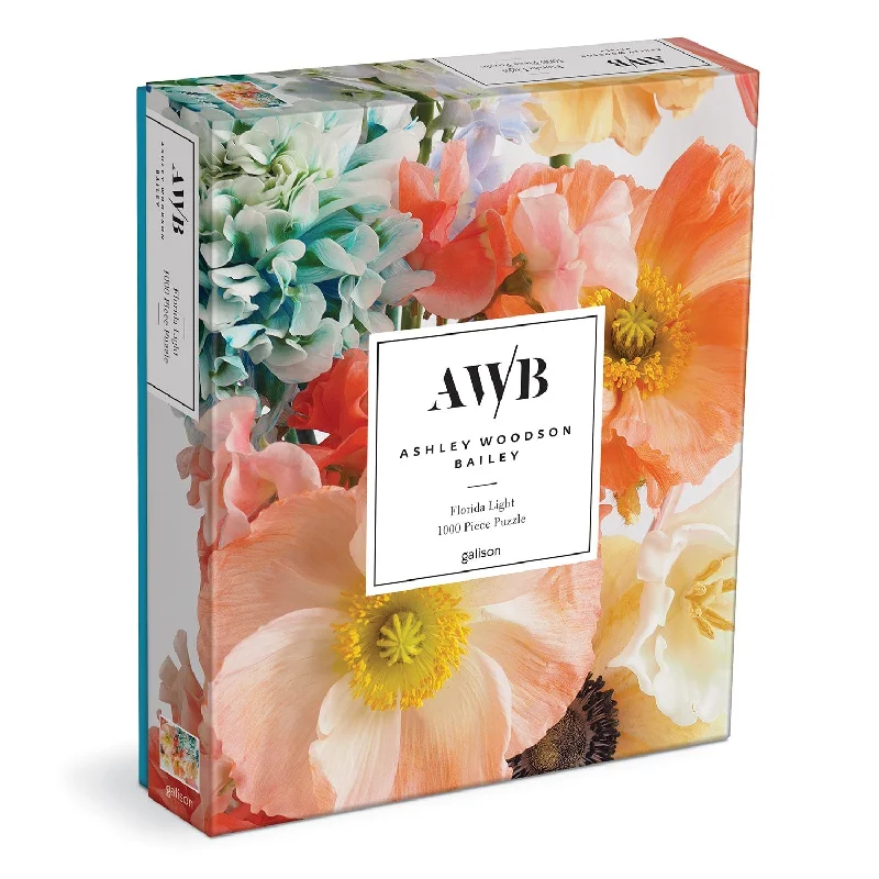 - Air box TSA certified check-inAshley Woodson Bailey Florida Light 1000 Piece Puzzle