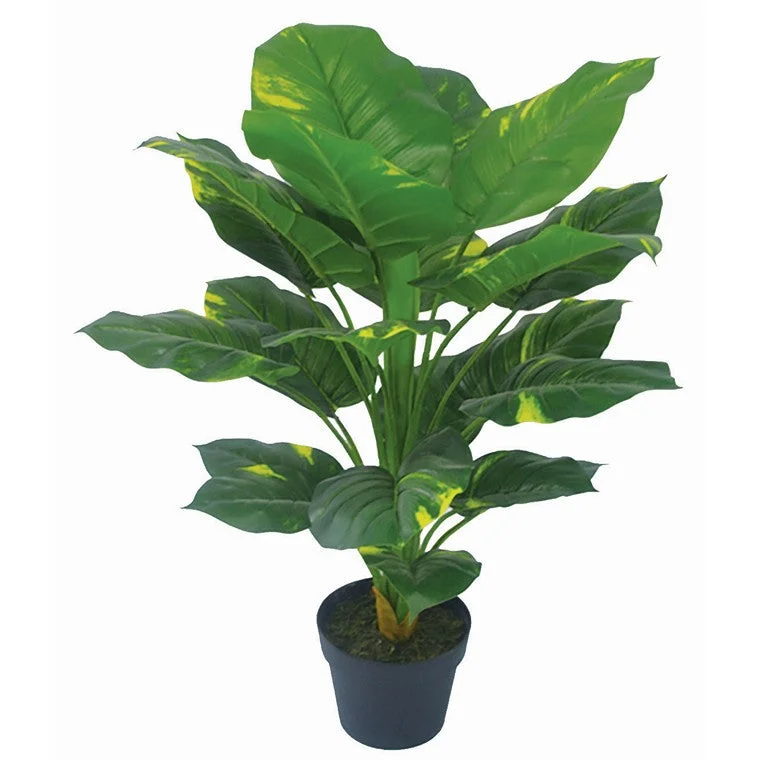 - Pet vitamin complex nutrition tabletsArtificial Veriegated Spotted Plant, 80cm