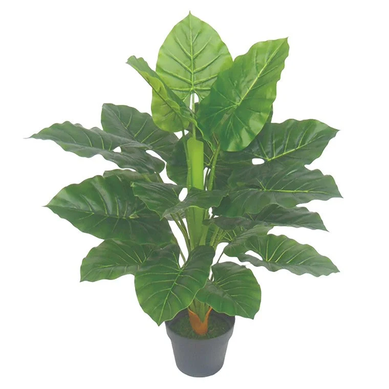 - Natural latex pet mattressArtificial Elephant Ear Plant