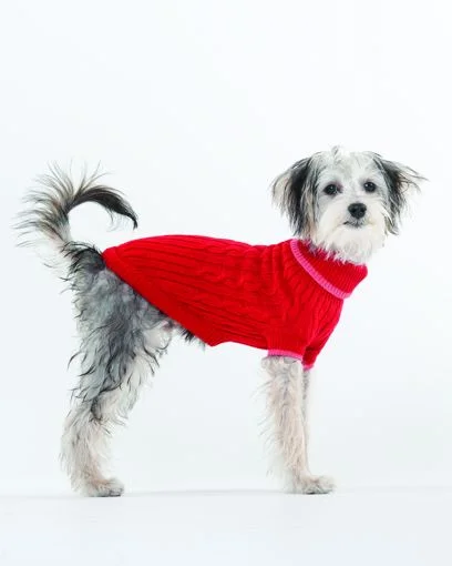 - Pet smart GPS locatorFashion Pet Classic Cable Sweater Red