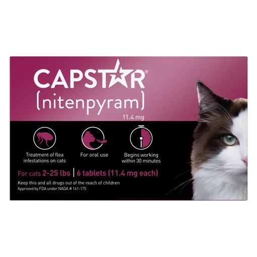  -Anti-scratch scratching board AND cat bed in oneCAPSTAR FLEA TABLET - CAT 6 CT. 2-25 LB.