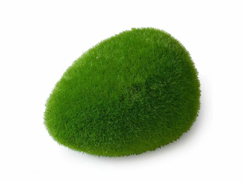 - Winter dog thick down jacketMOSS BALL M - 10x6,5x5CM