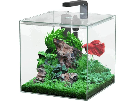 - Remote interactive pet feederKUBUS 22L BETTA