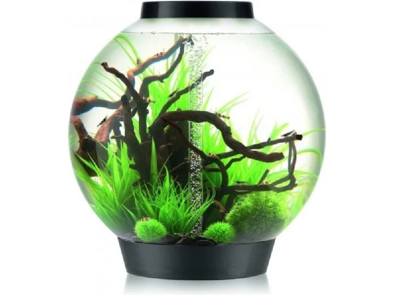 - Automatic induction pet water dispenserbiOrb CLASSIC 105 MCR black