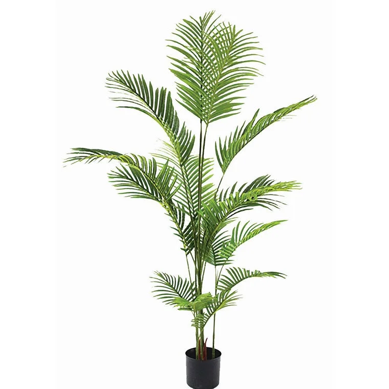 - Pet monitor with cameraArtificial Palm Plant, 160cm