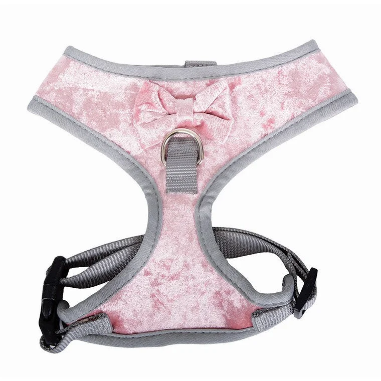 - Custom pet birthday cakeVelvet Pet Harness w/ Bow, Large, Asstd