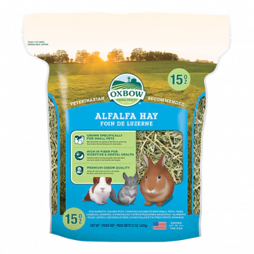 - Dog disposable foam shower gelOXBOW 40OZ ALFALFA HAY