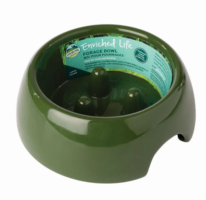 - Pregnant cat delivery room warming boxOxbow Moss Green Forage Bowl Large for Small Animal