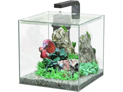 - Pet monitor with cameraKUBUS 15L BETTA