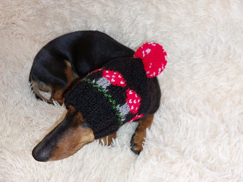 Pet birthday party clothesFly agaric mushroom pet hat, Halloween amanita mushroom dog clothes