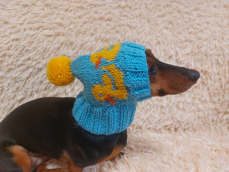 Focus on health and safety:Duck clothes hat for dachshund or small dog