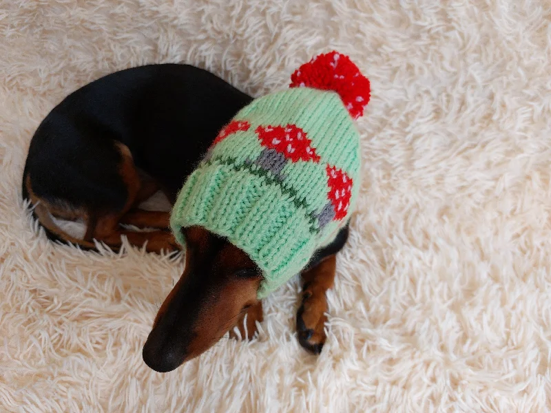 Pet Halloween clothesFly agaric mushroom pet hat, Halloween amanita mushroom dog clothes