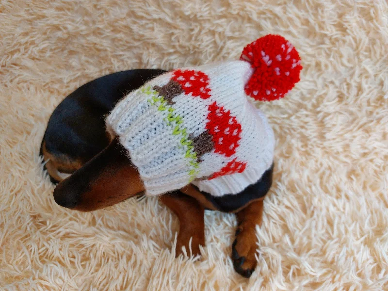 Pet Christmas clothesFly agaric mushroom pet hat, Halloween amanita mushroom dog clothes