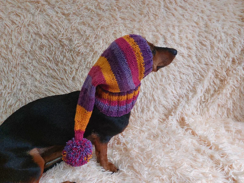 Focus on health and safety:Christmas bright outfit dog hat with pompom,dachshund hat,Christmas clothes for dog photo shoot