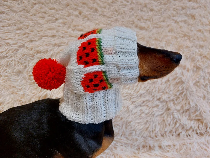 Cat clothesPet clothes hat snood watermelon ice cream for dog