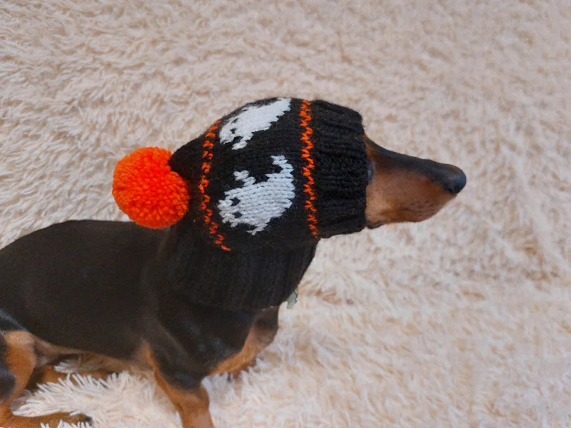 Classification by season or weather:Halloween Pet Clothes Haunted Snood Hat for Dog