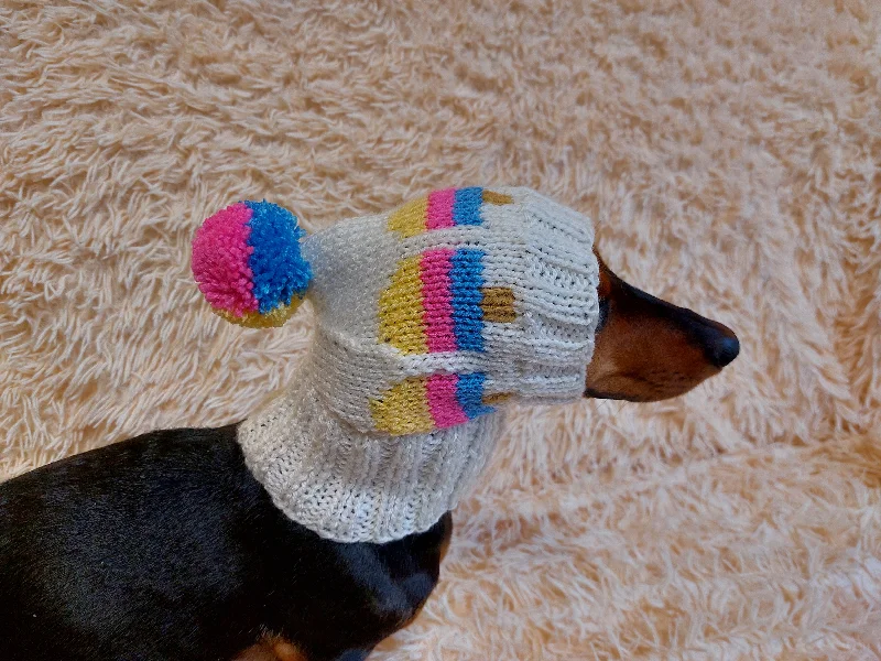 Dog clothesPet clothes hat snood ice cream for dog