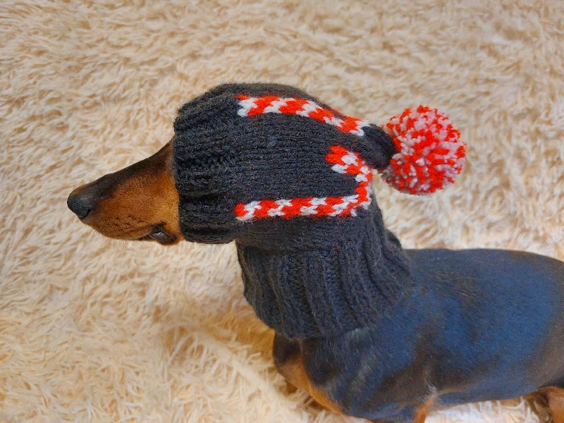 Winter warm clothes for catsChristmas clothes for pets, snood hat Christmas photo shoot for dog