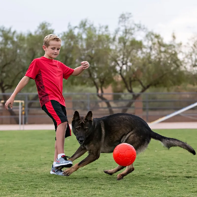  -Non-contact cat thermometerJolly Soccer Ball - Puncture Resistant Ball